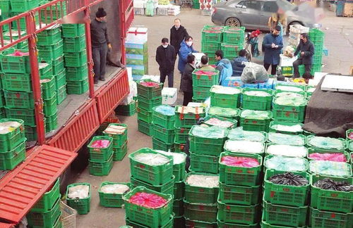 太原河西農(nóng)副產(chǎn)品市場 菜籃子貨豐價(jià)穩(wěn)，保障民生供給
